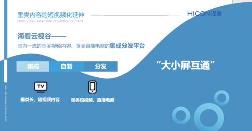 三晉論道，共話(huà)未來(lái) ?？垂煞菰S璐璐談精品垂類(lèi)內(nèi)容產(chǎn)業(yè)化與河北網(wǎng)站開(kāi)發(fā)的協(xié)同發(fā)展